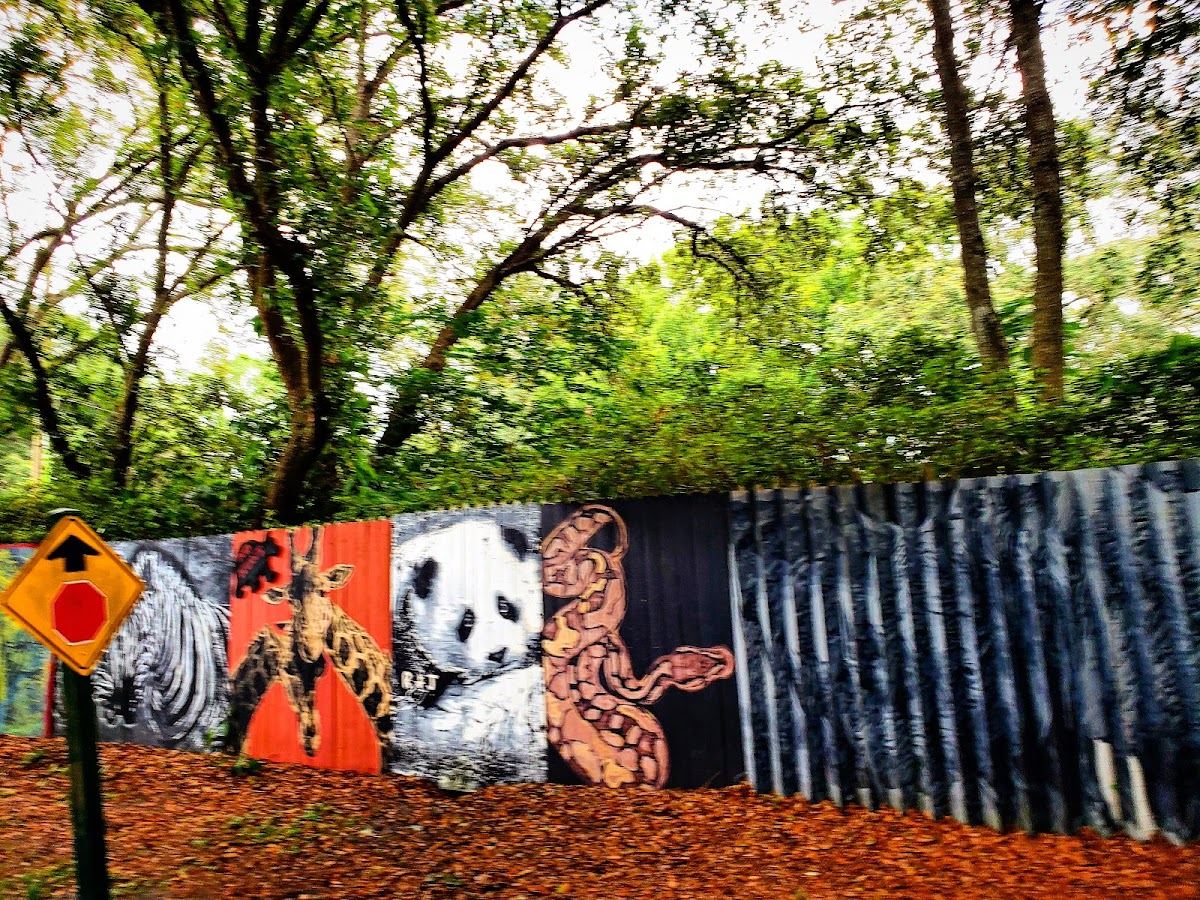 Paint The Trail