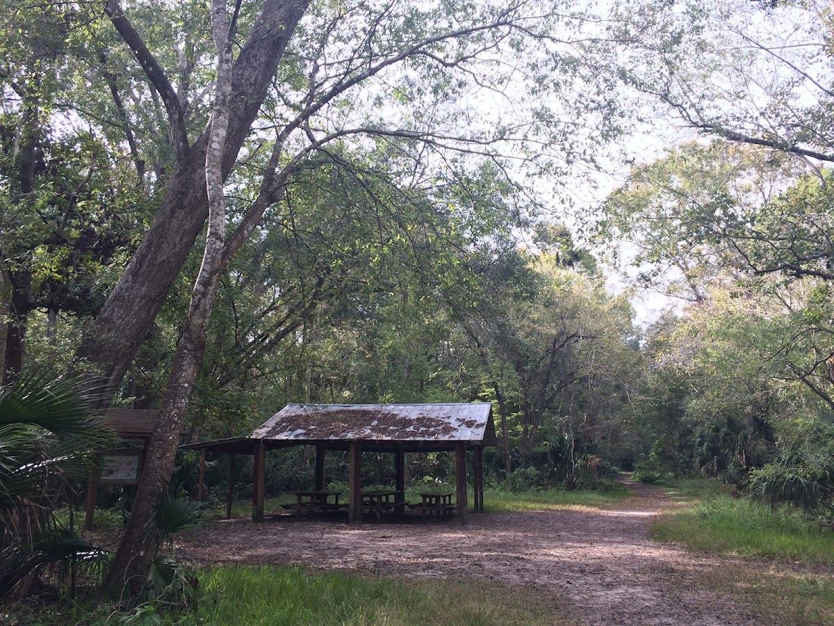 Spring Hammock Preserve