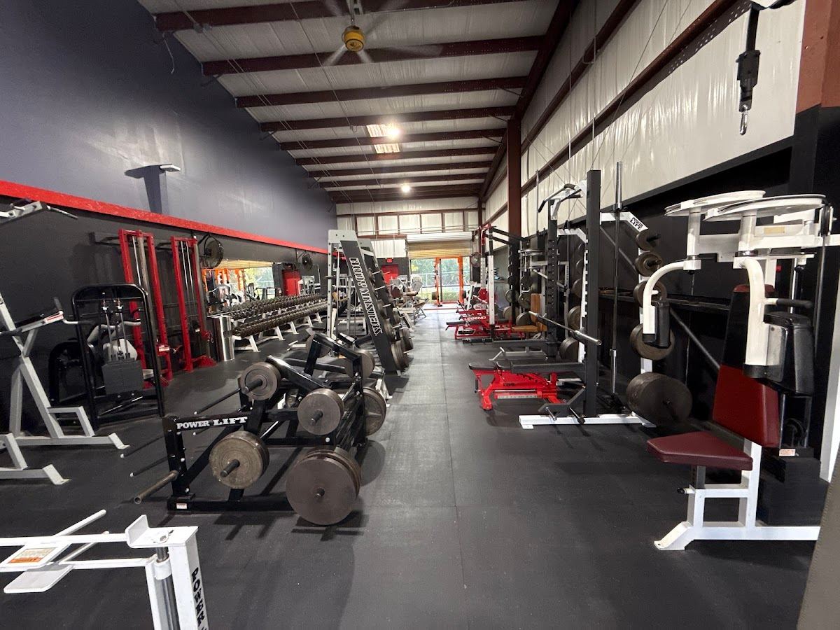 The FN Gym