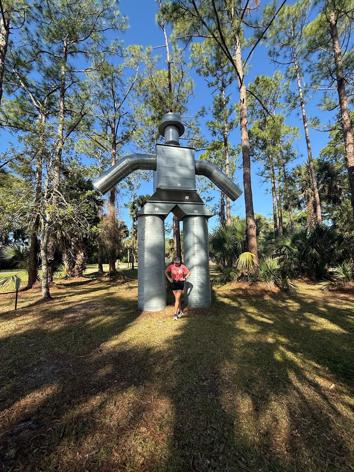 Tin Man