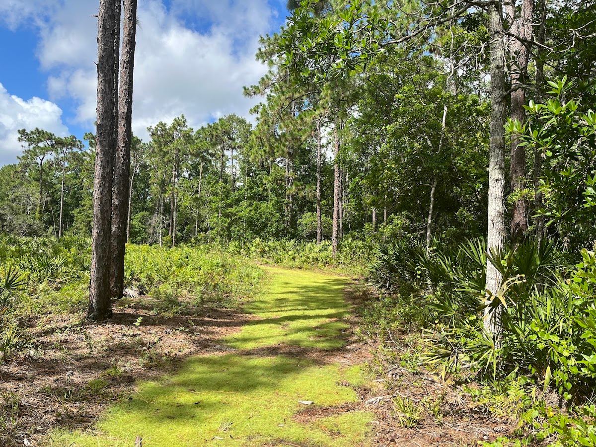 UCF Arboretum
