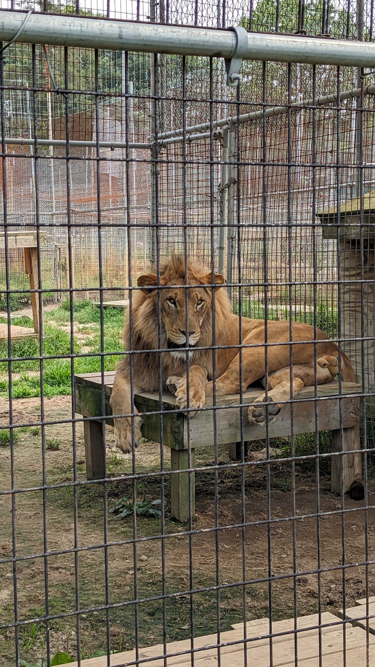 Animal Park at the Conservators Center