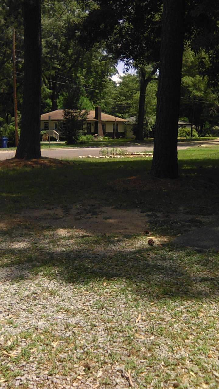Burton Park