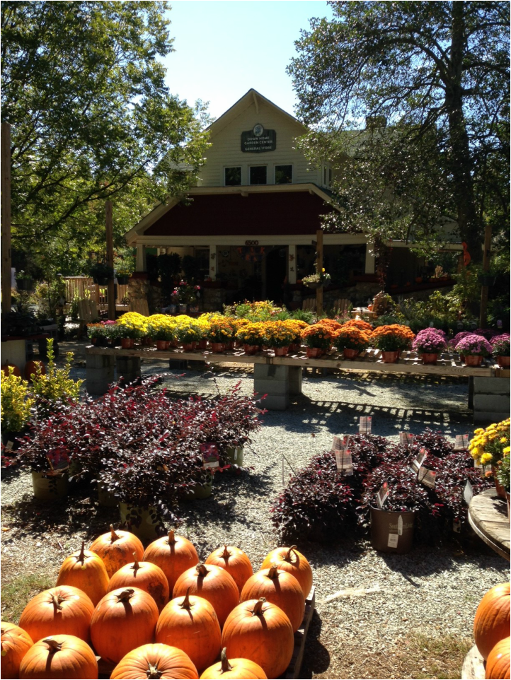 Down Home Garden Center & General Store