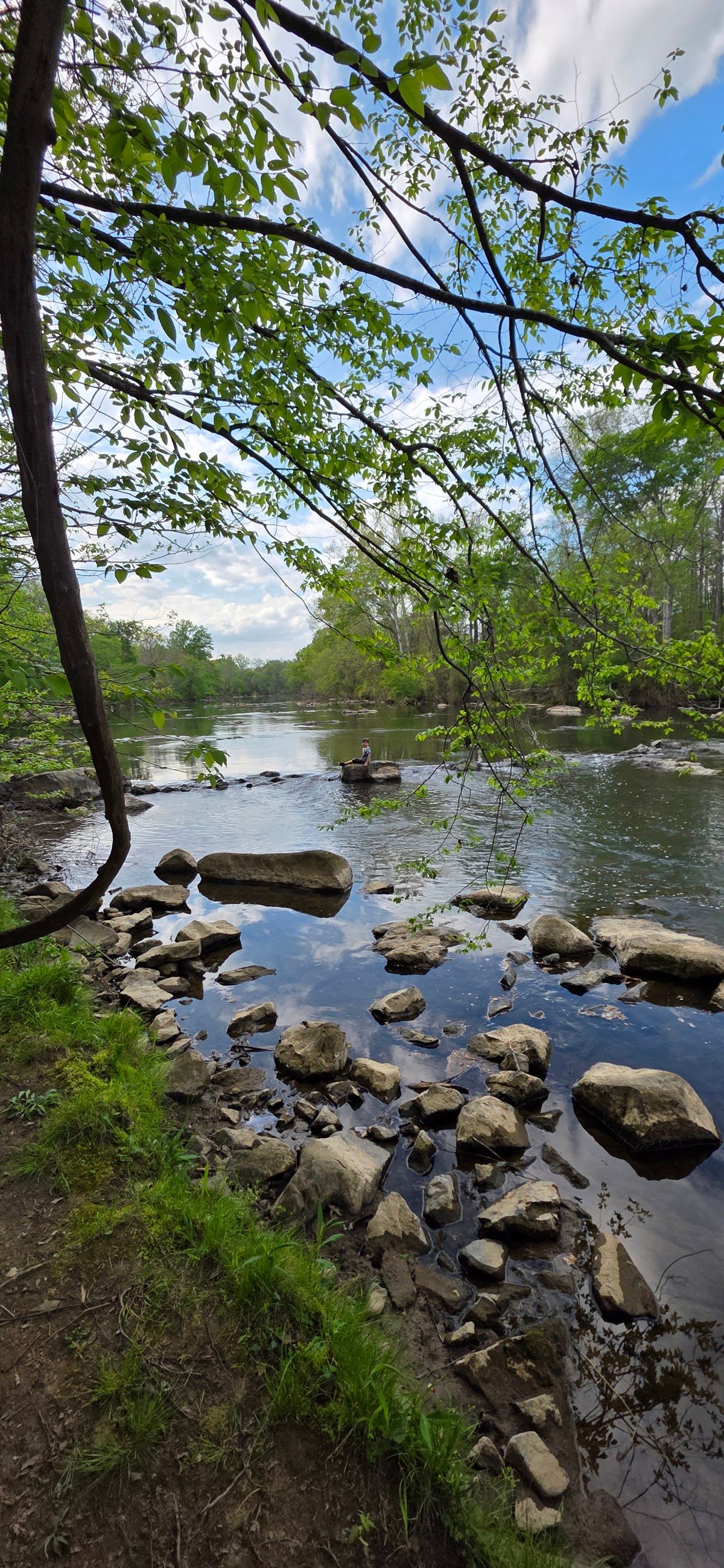 Town and Country Nature Park