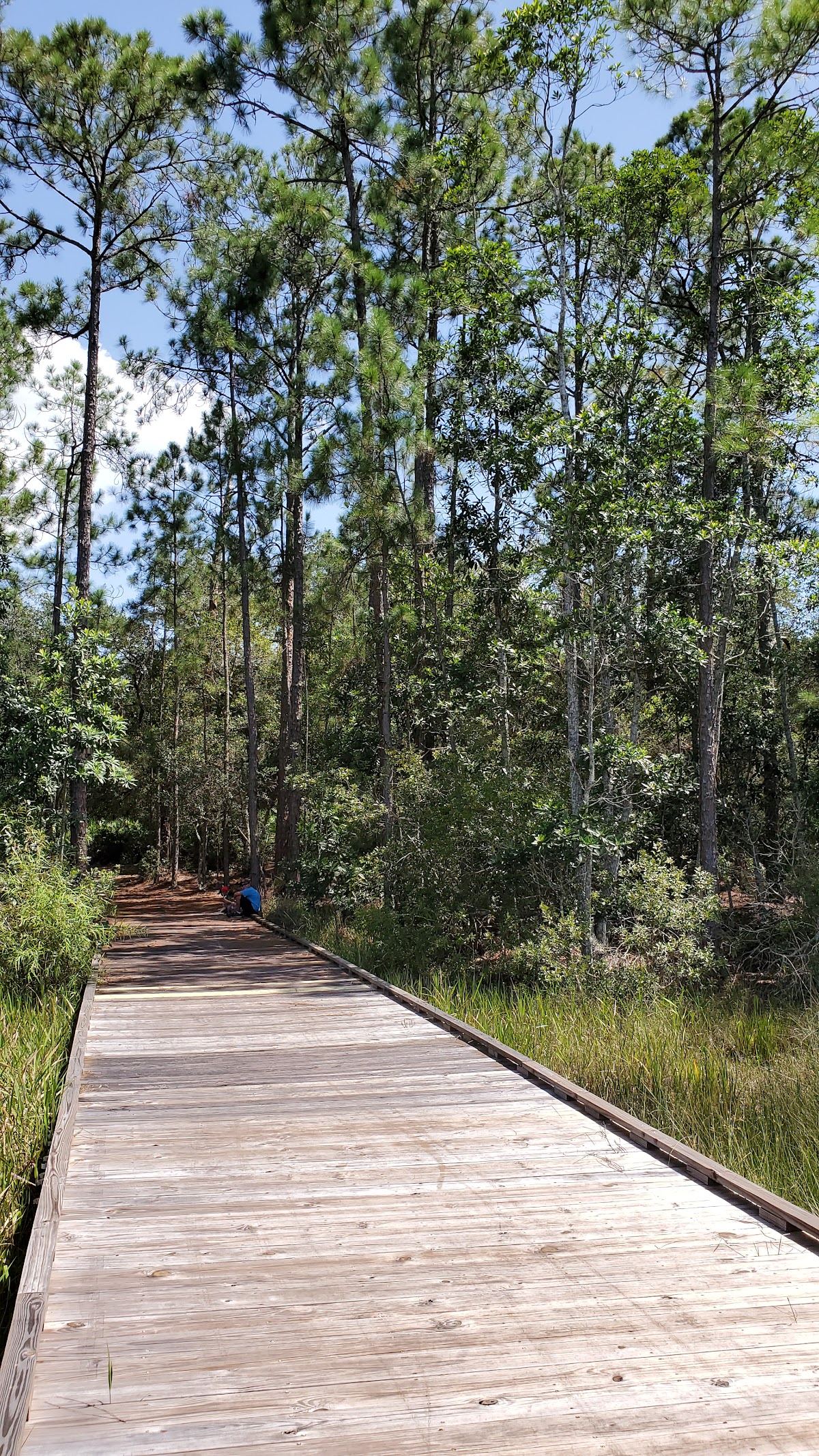 Lake Lizzie Conservation Area South Trailhead