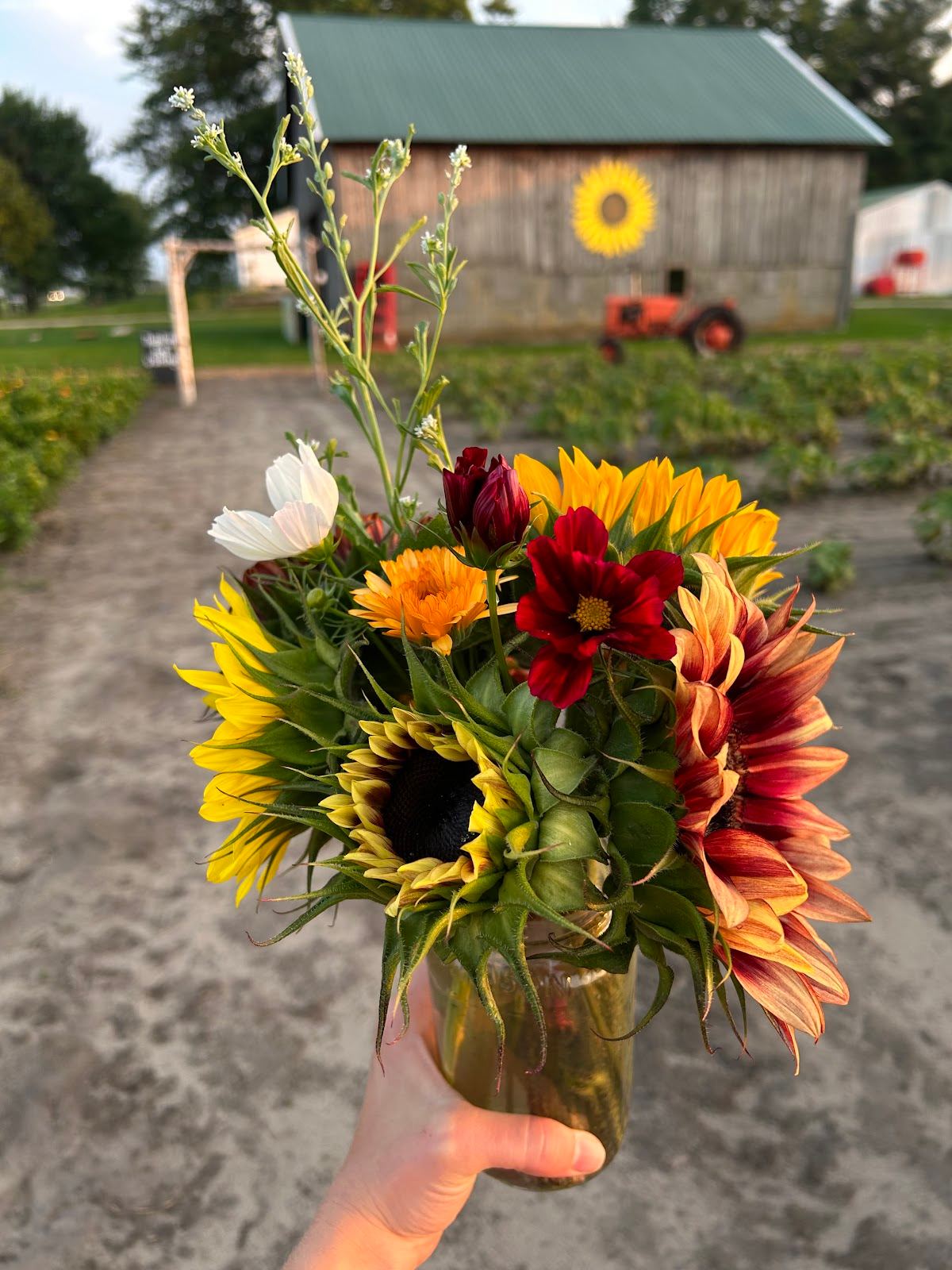 Bremer Produce U-Pick Flower Farm