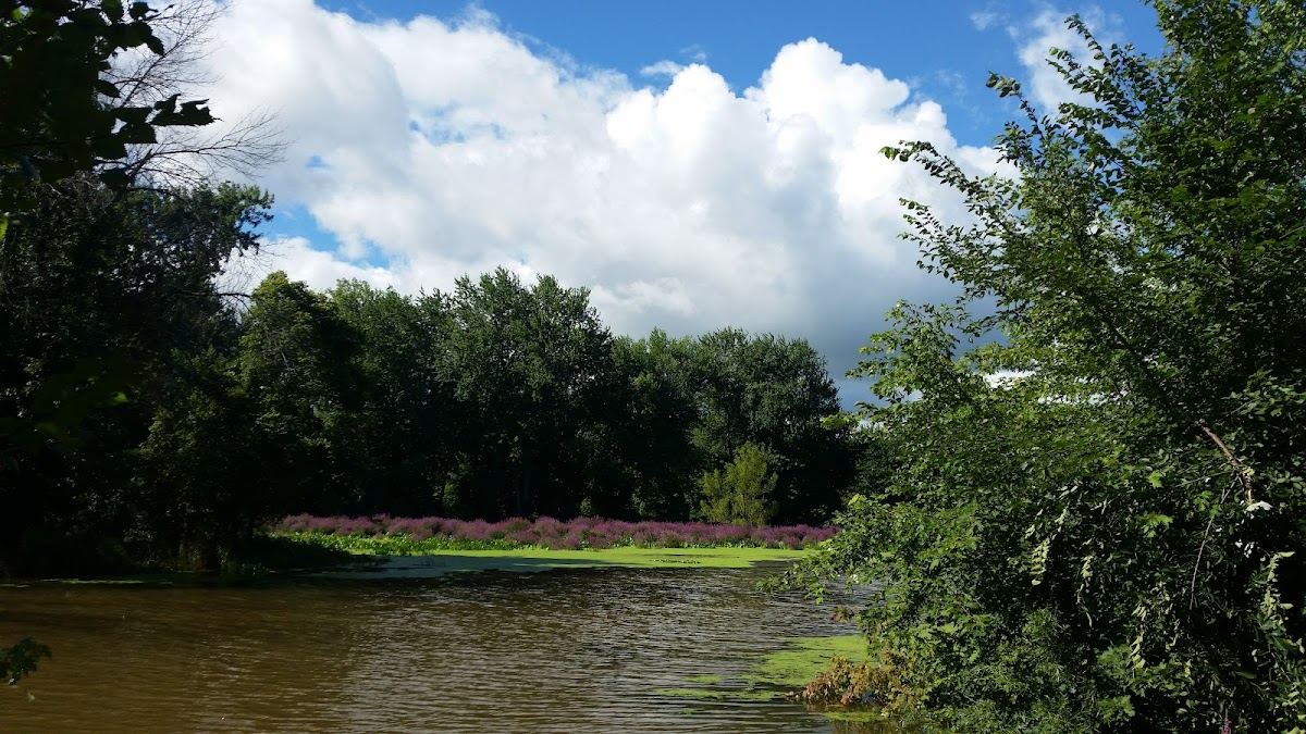 Deer Creek County Park