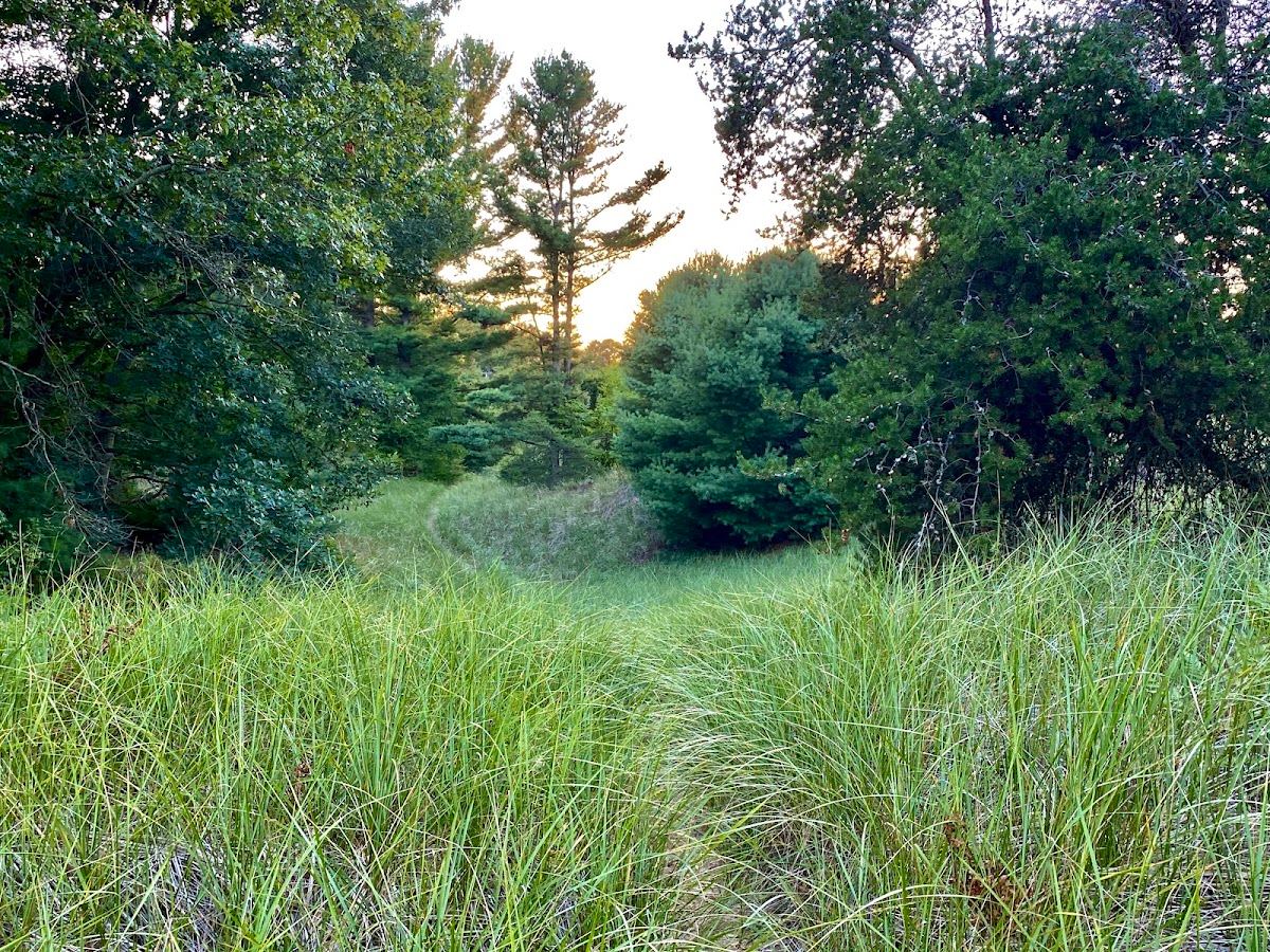 Ferrysburg Nature Preserve