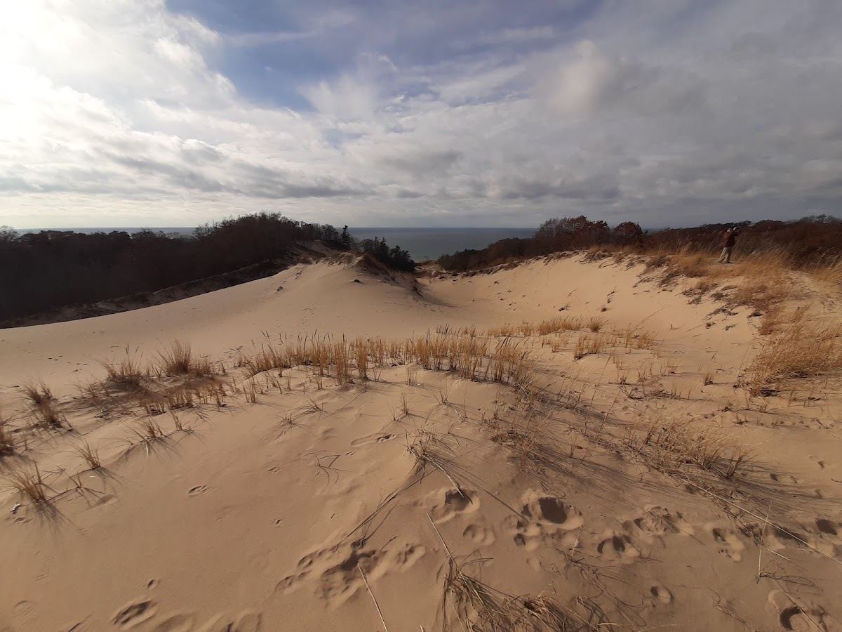Gillette Sand Dune Visitor Center
