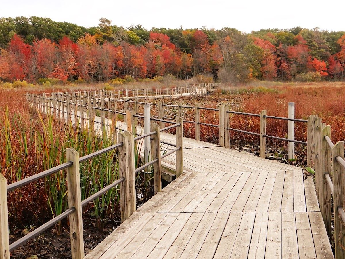 Hofma Preserve