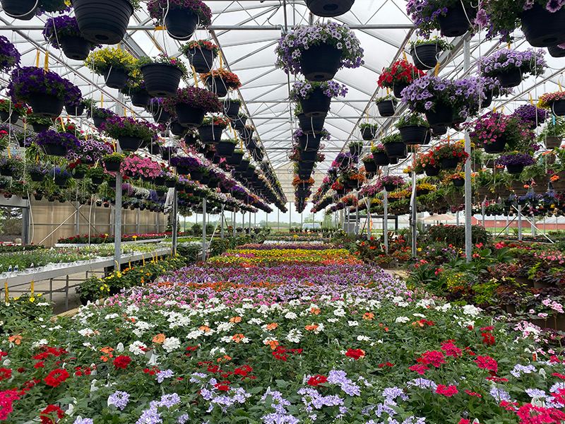 JW Greenhouses