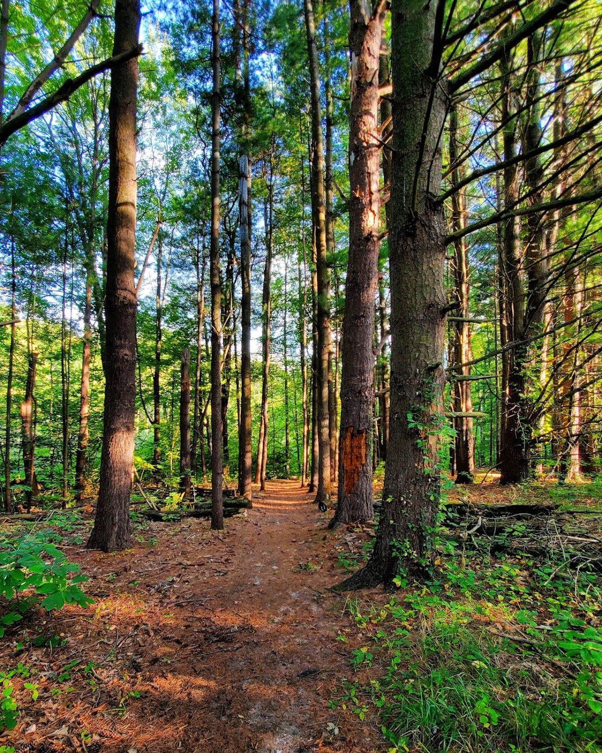 Minnie Skwarek Nature Preserve