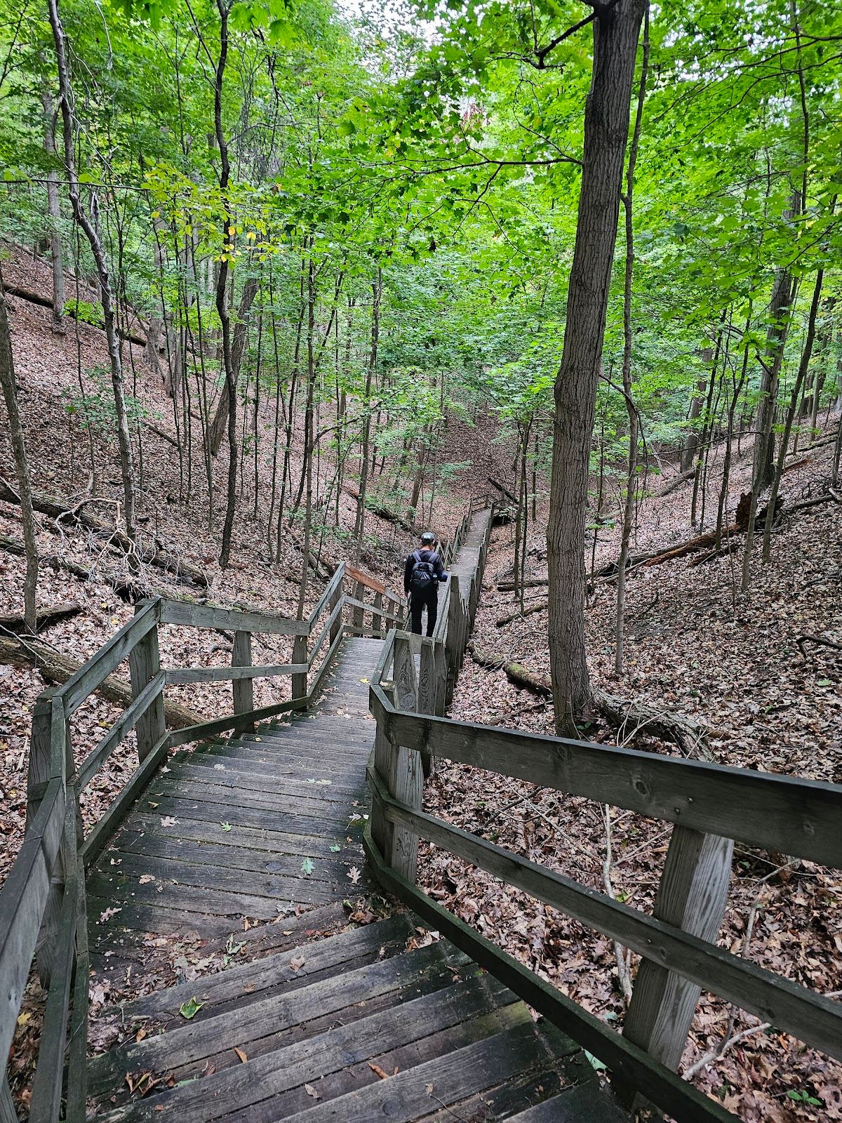 North Ottawa Dunes