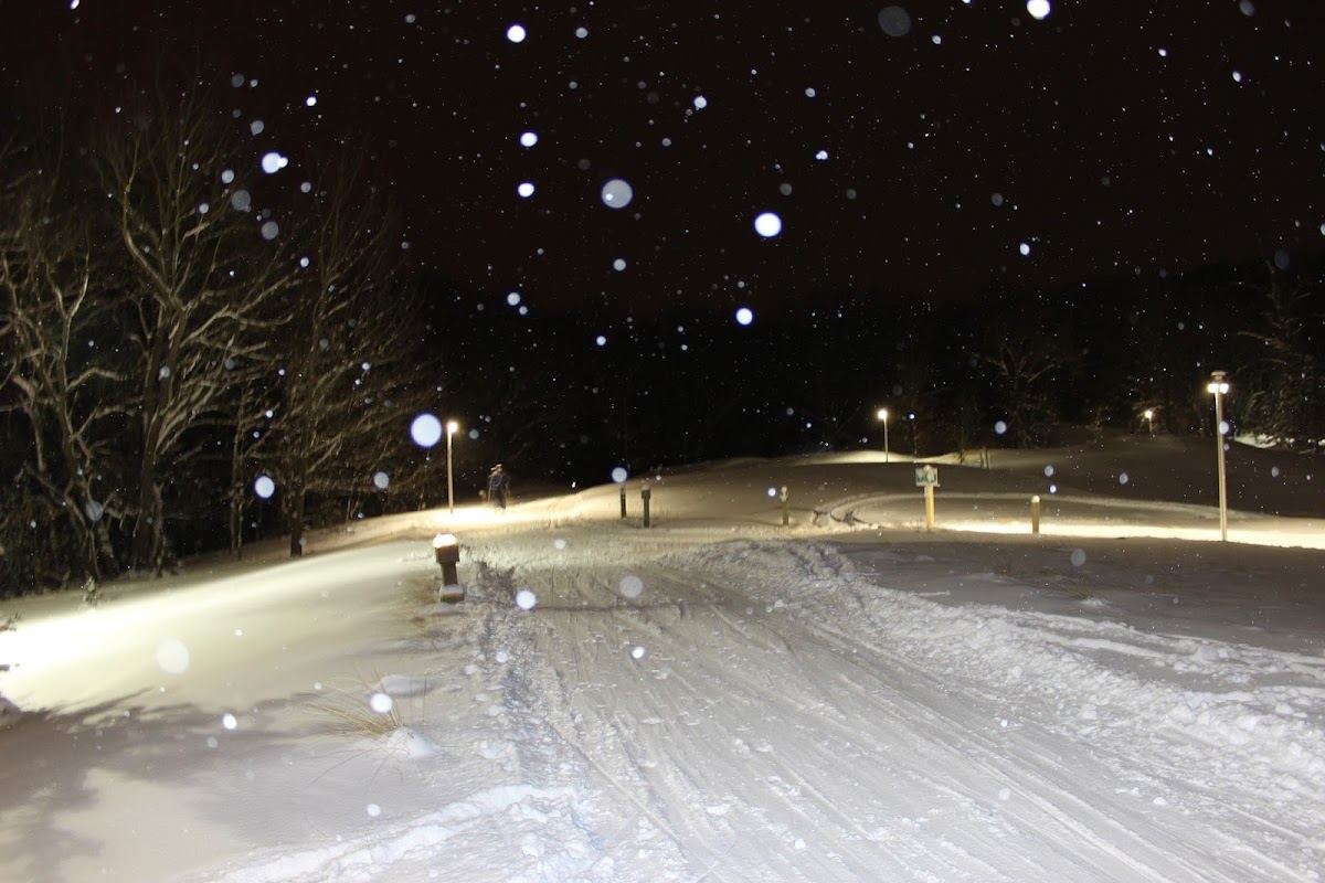 Pigeon Creek Park