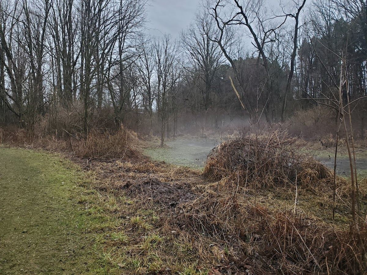 Polkton Township Sheridan Park