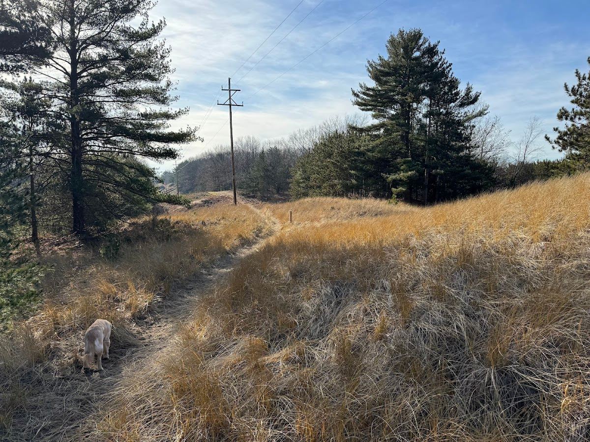Van Buren Street Dunes