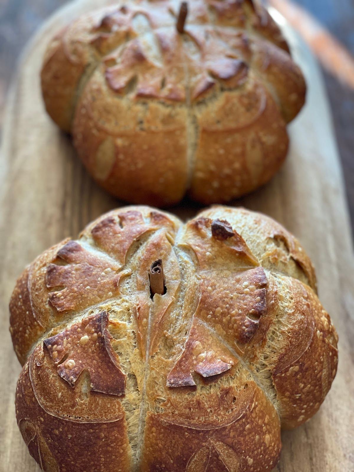 Wild Dough Limited Liability Company