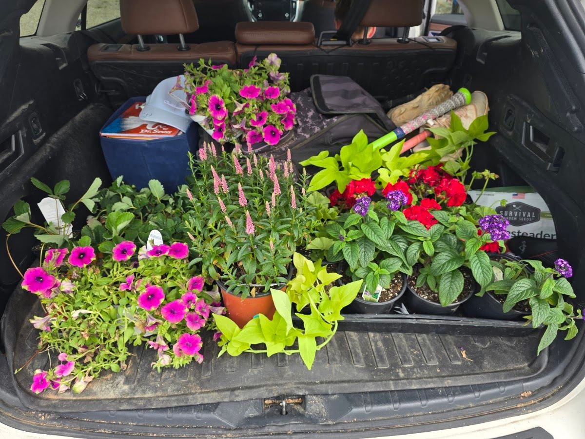 Bright Star Nursery