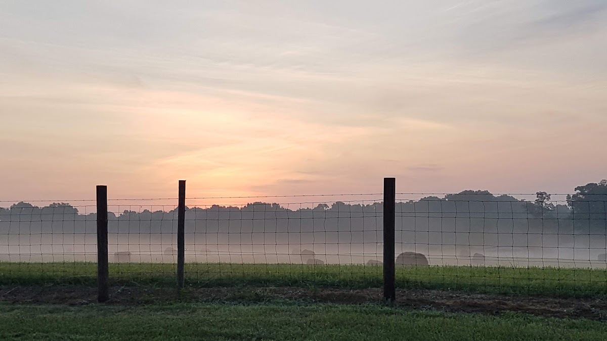 Allensville Park