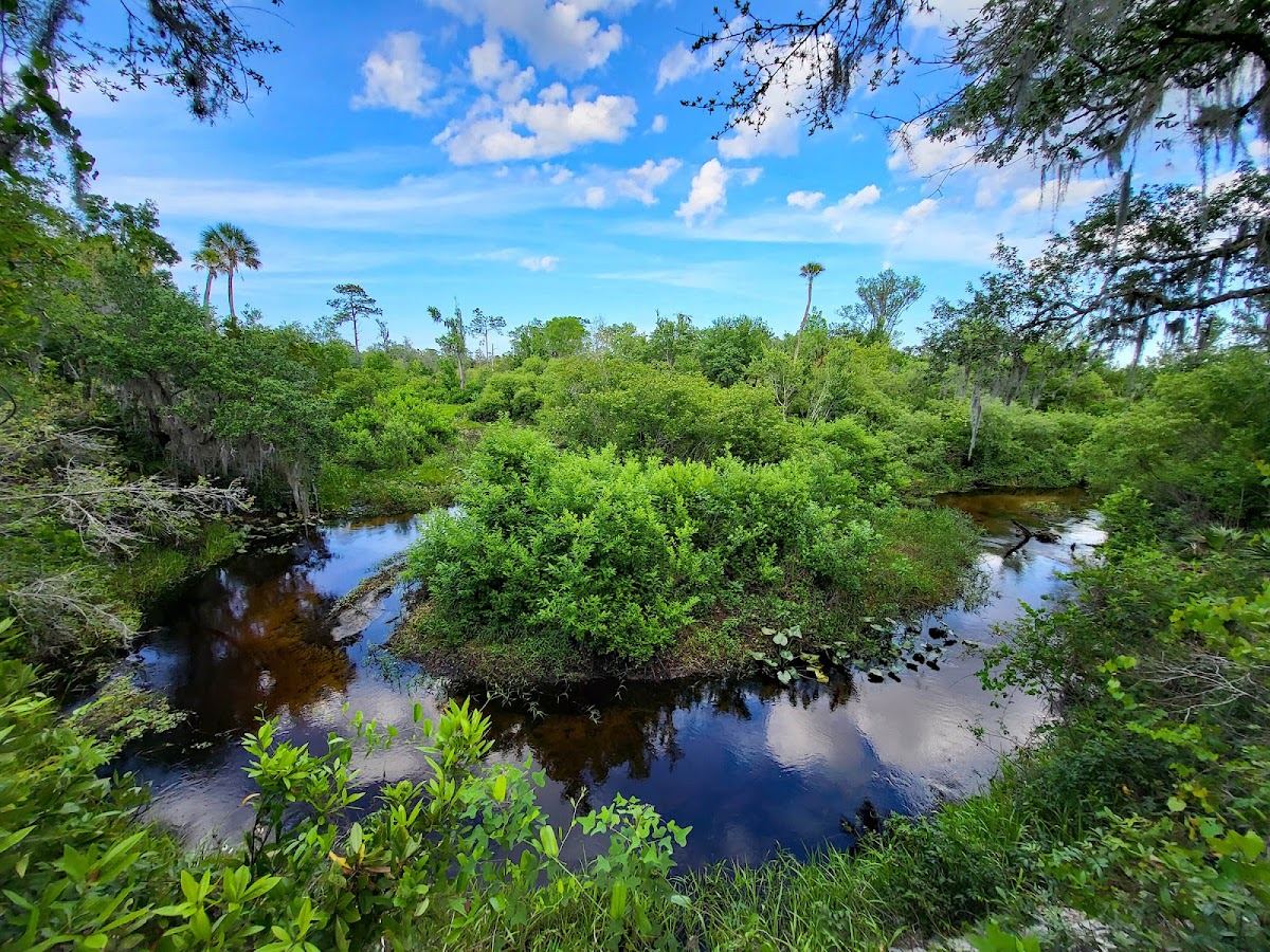 Creek Bluffs Loop Trailhead, The Nature Conservancy's Tiger Creek Preserve