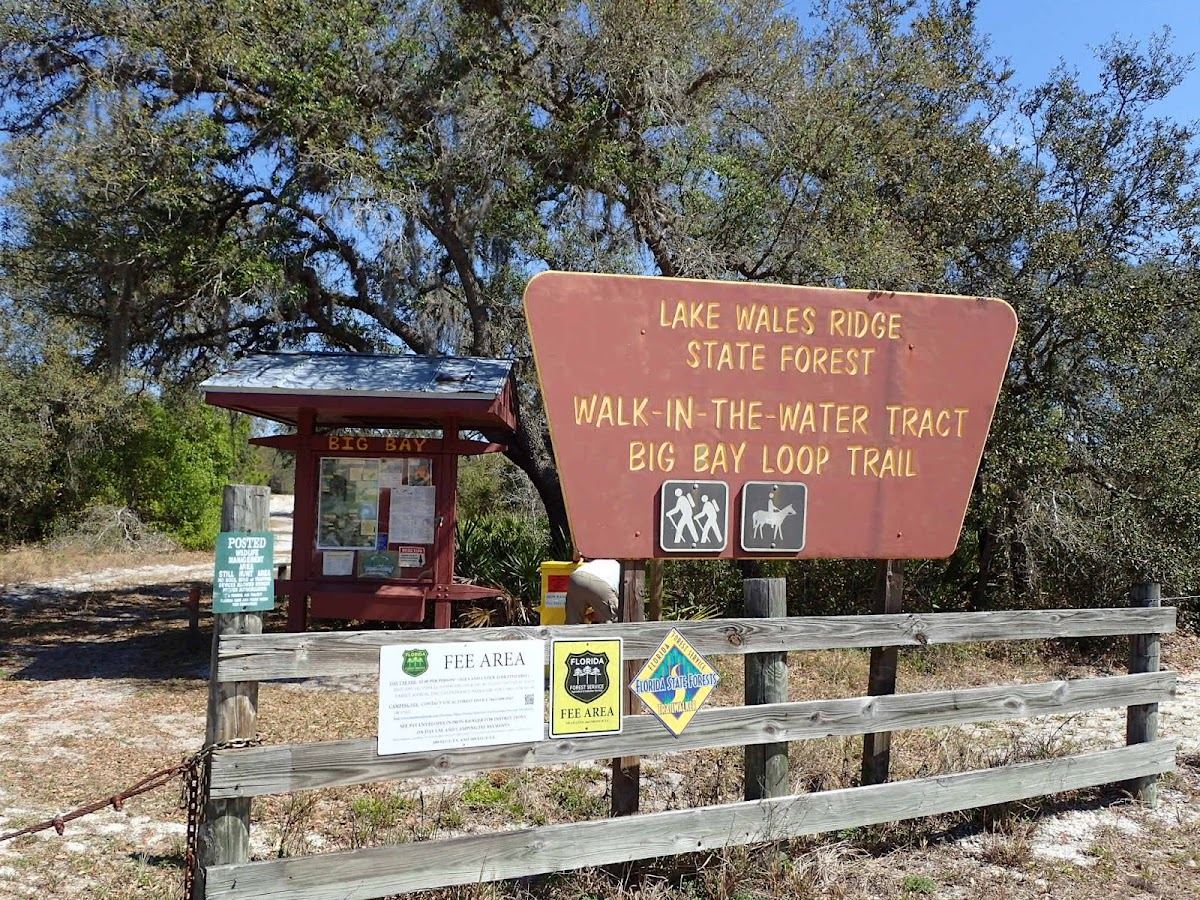 Lake Wales Ridge State Forest