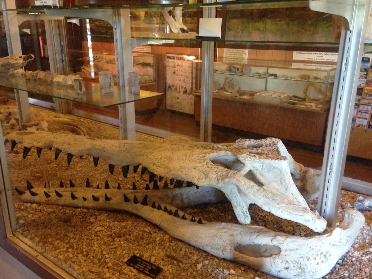 Mulberry Phosphate Museum