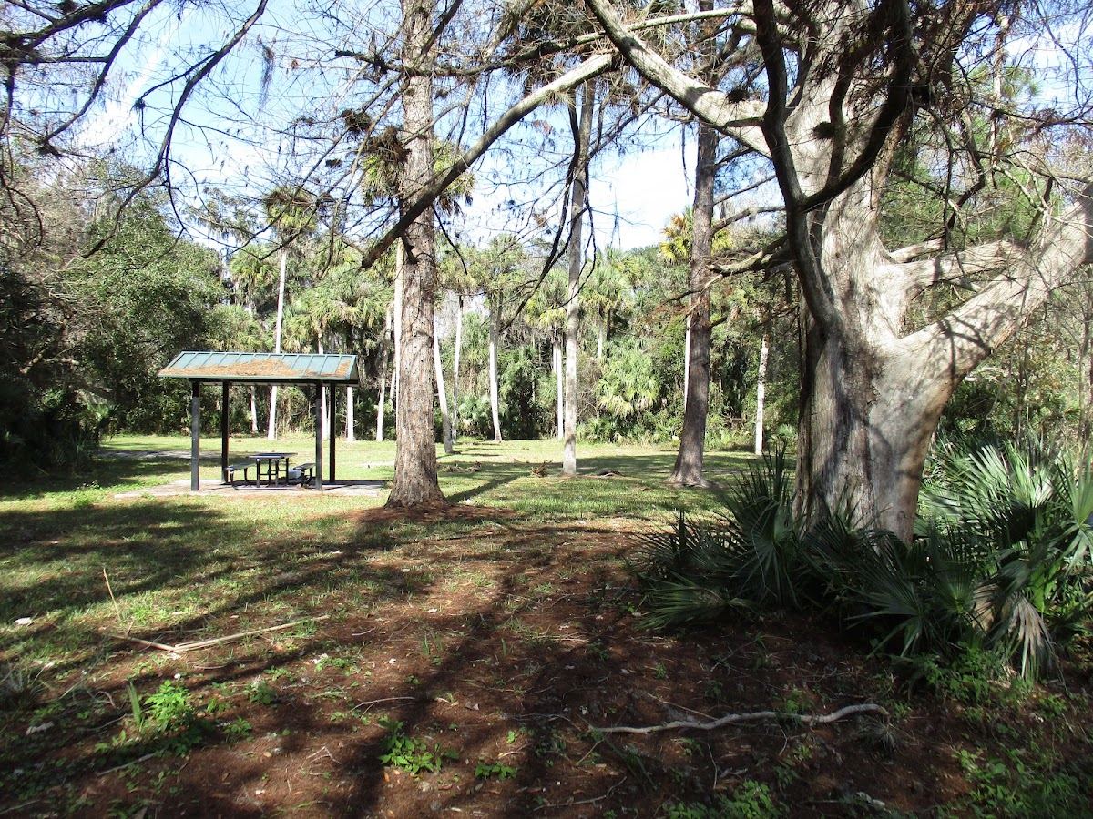 Sherwood L. Stokes Preserve