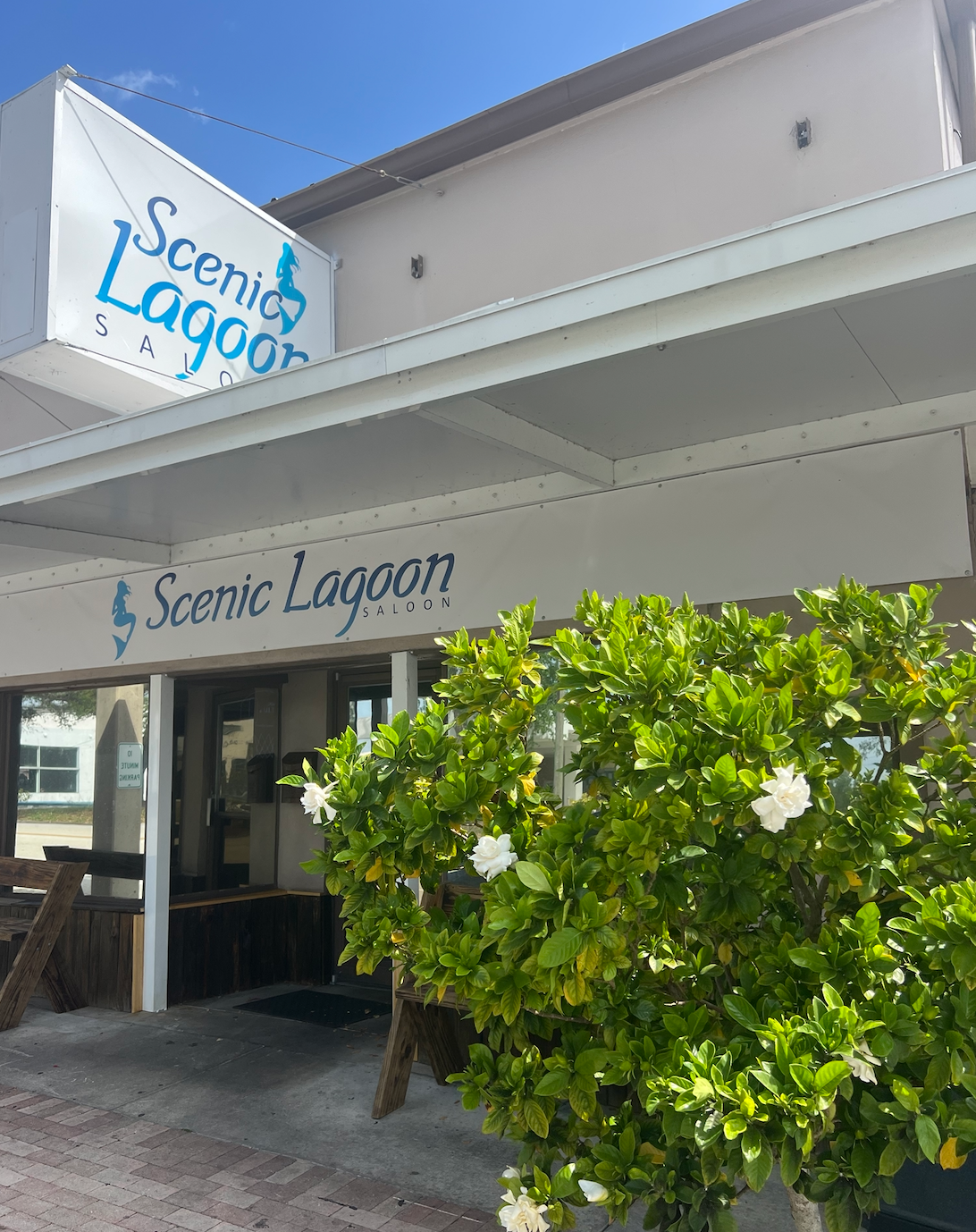 The Scenic Lagoon Saloon