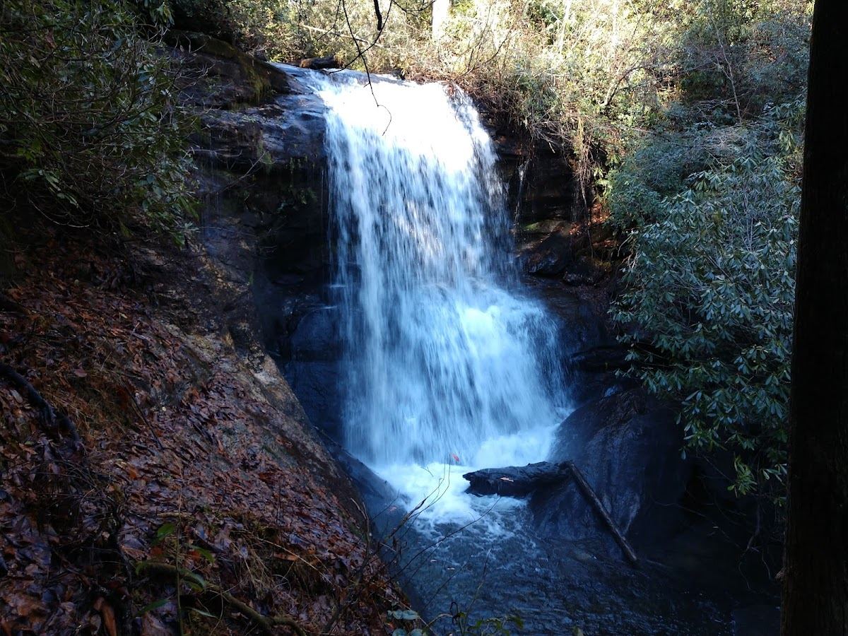 Cane Creek Falls