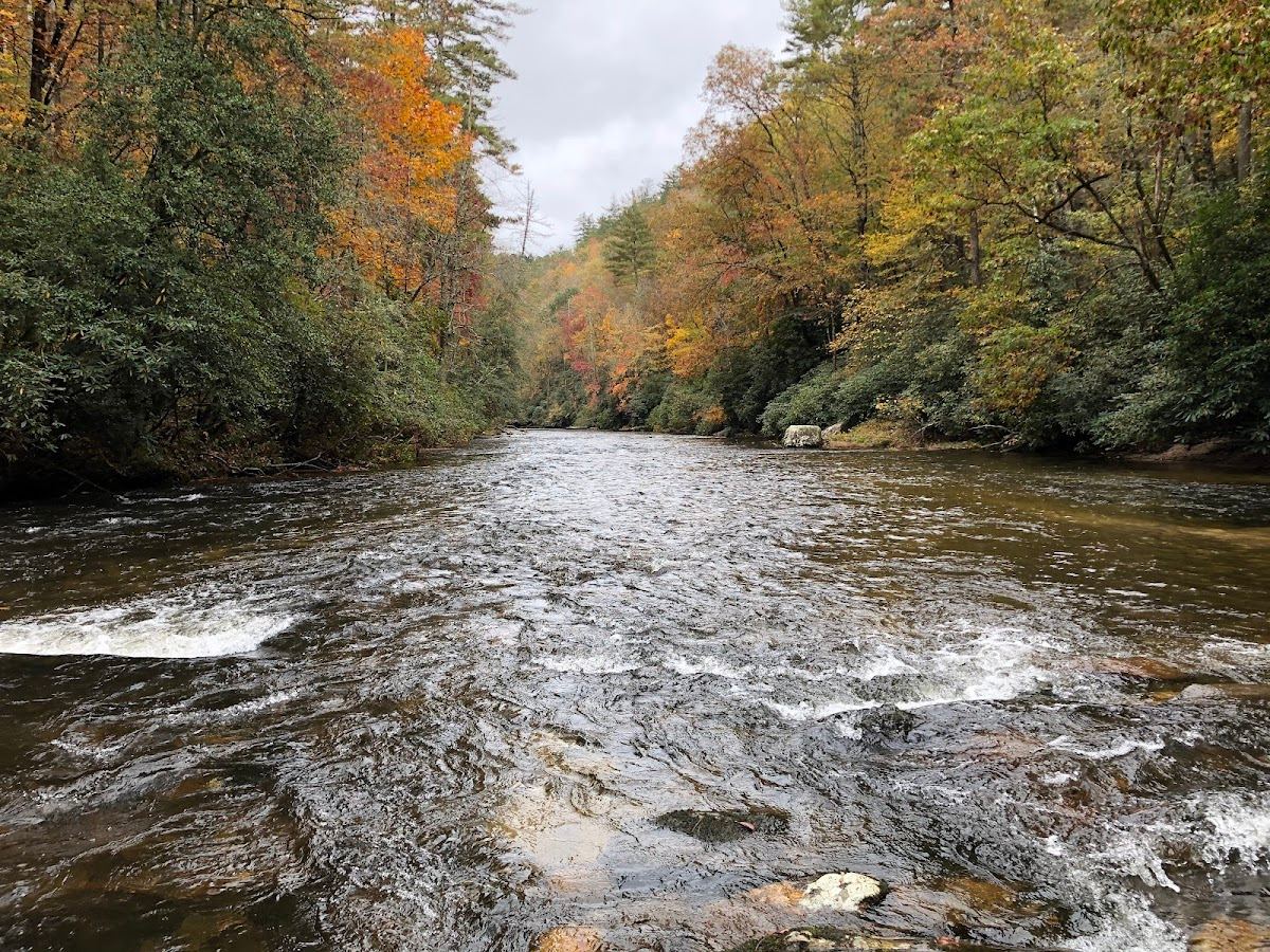 Chattooga River Trail (trail-head)