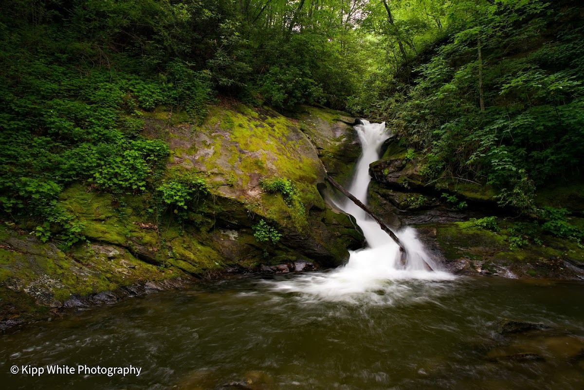 Darnell Falls