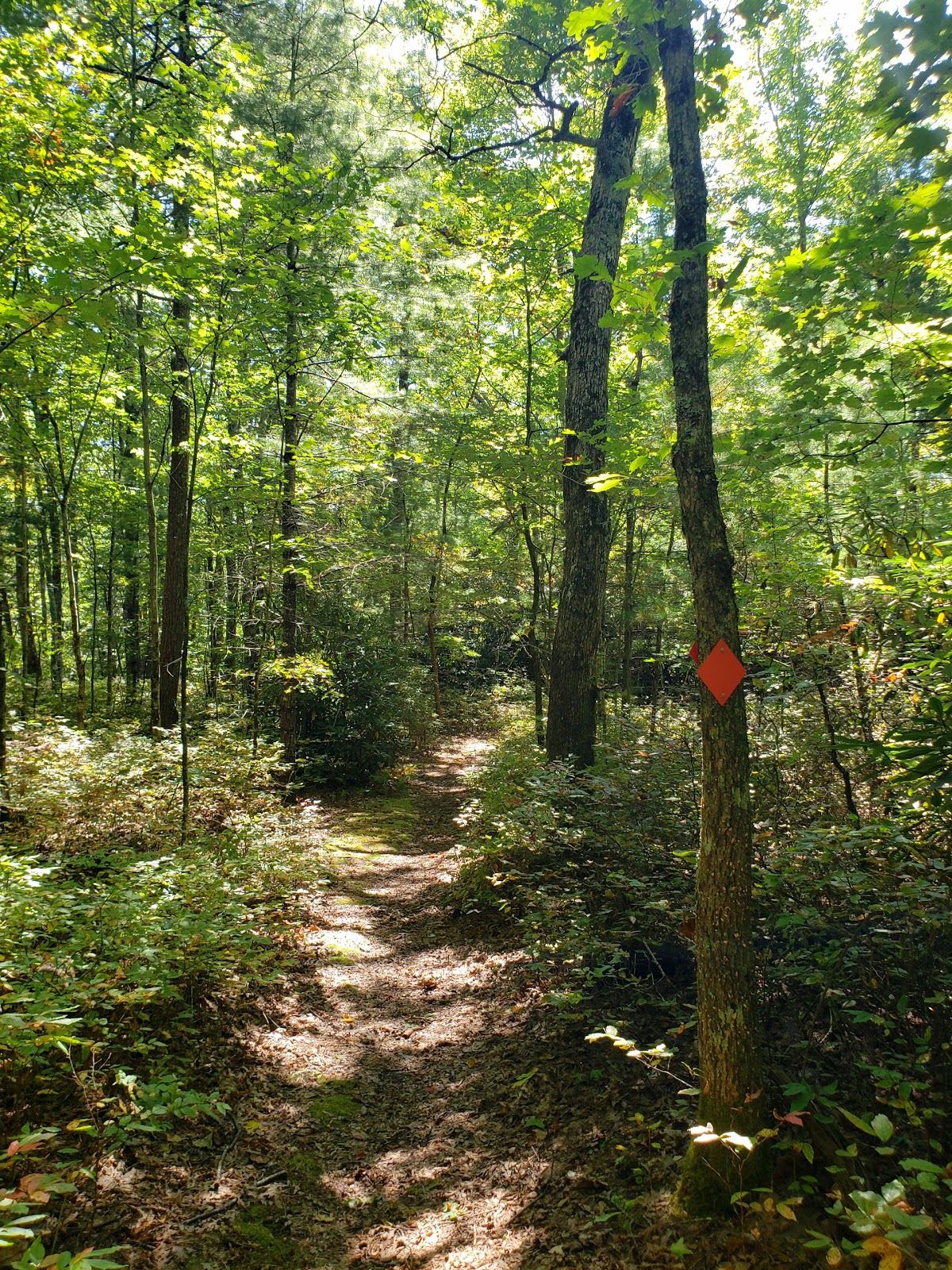 Dixon Woods Park- Highlands Cashiers Land Trust
