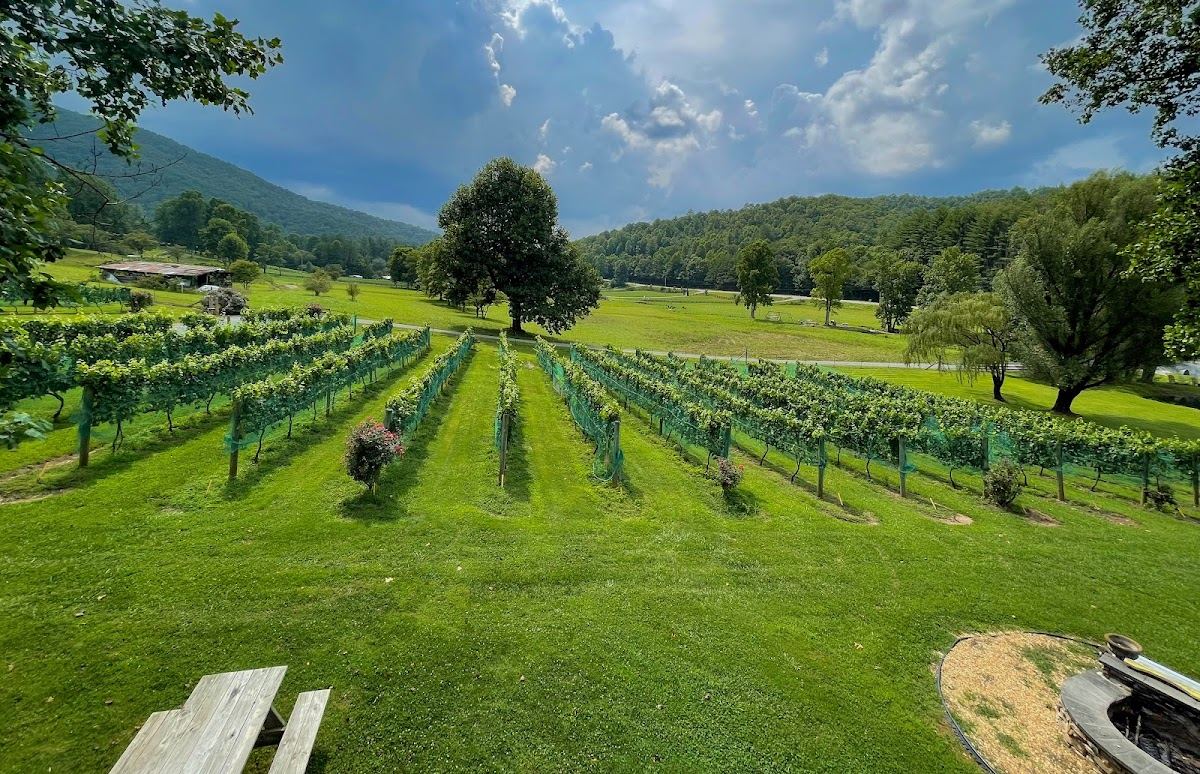 Hightower Creek Vineyards