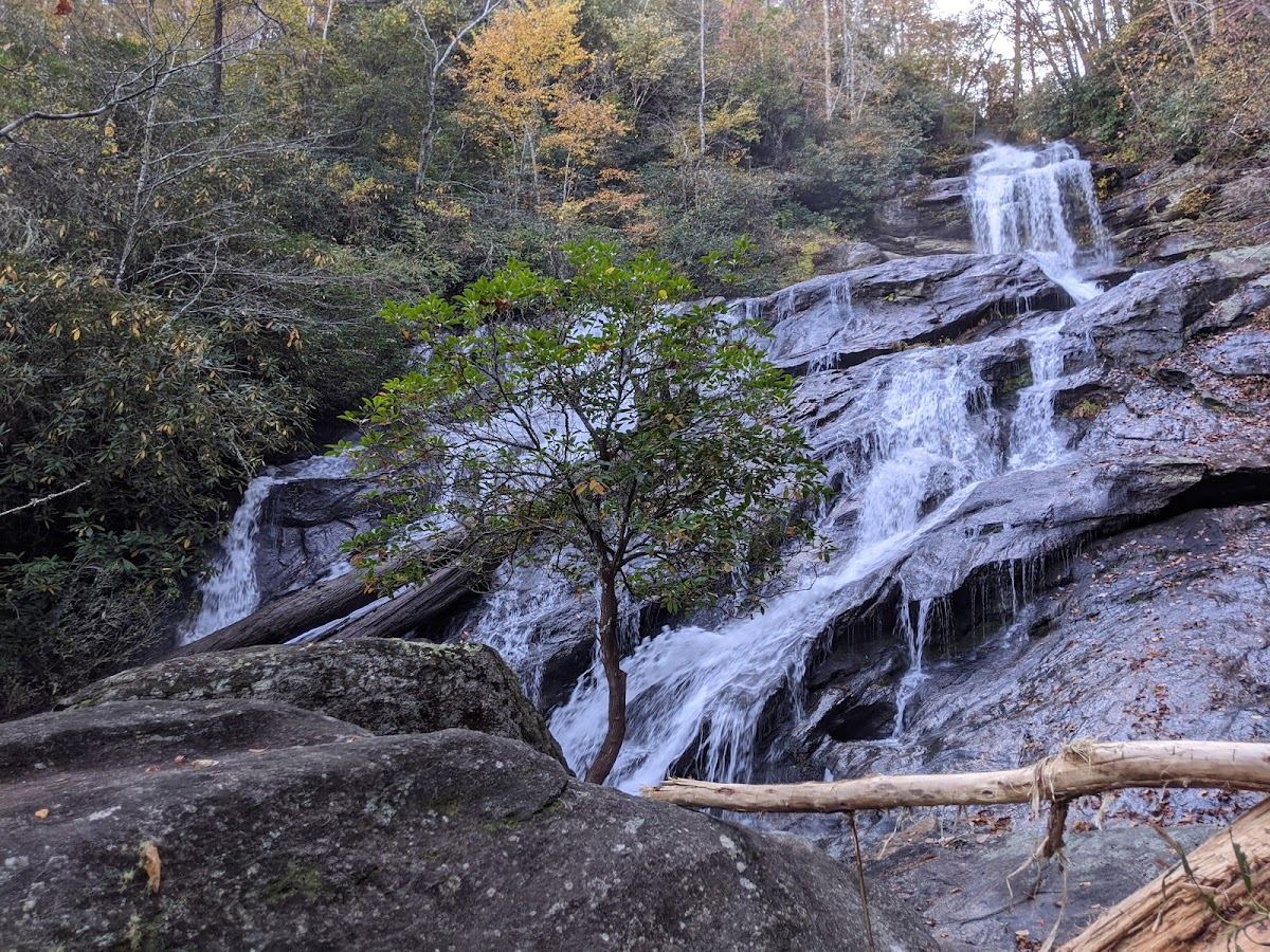 Holcomb Creek Falls Trail Head