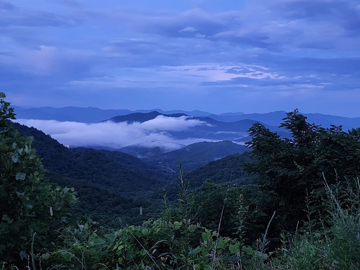 Poplar Cove Overlook