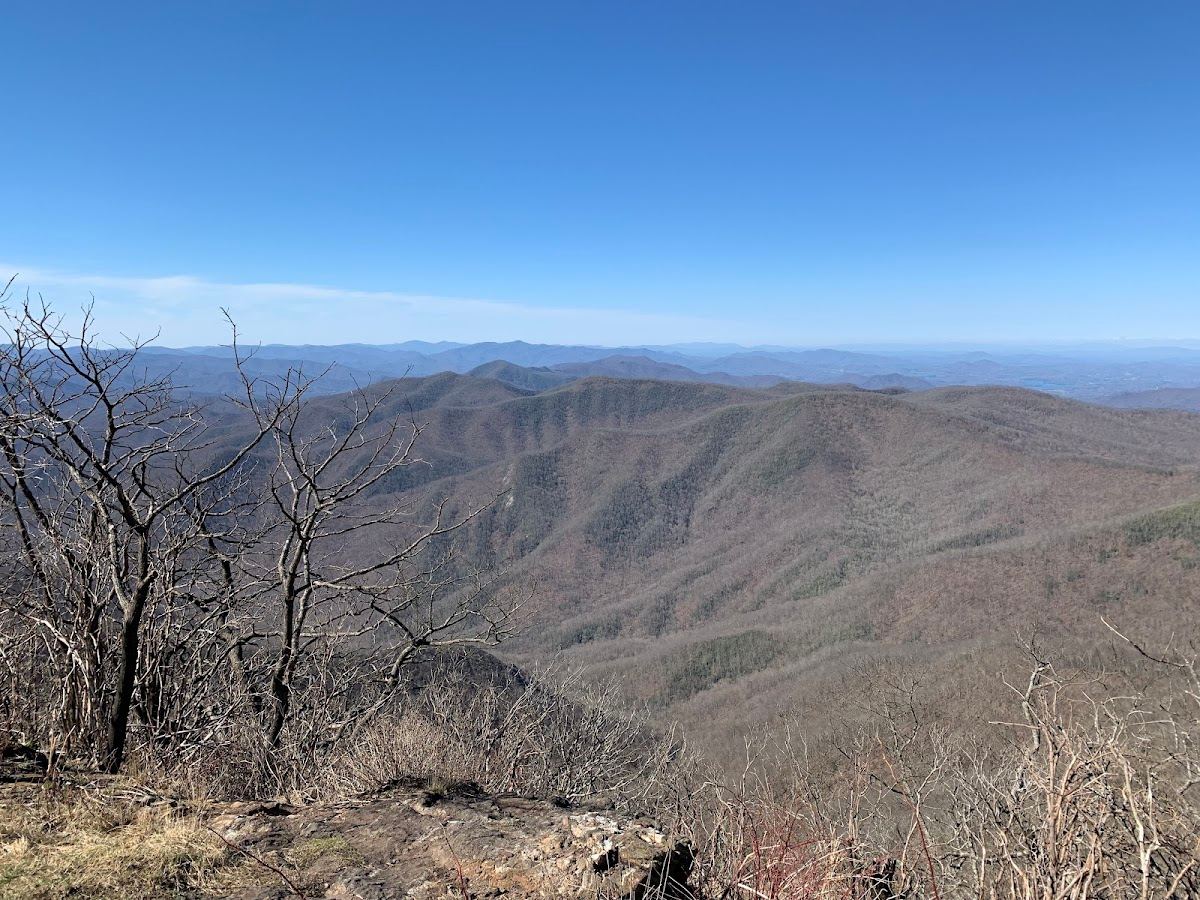 Southern Nantahala Wilderness