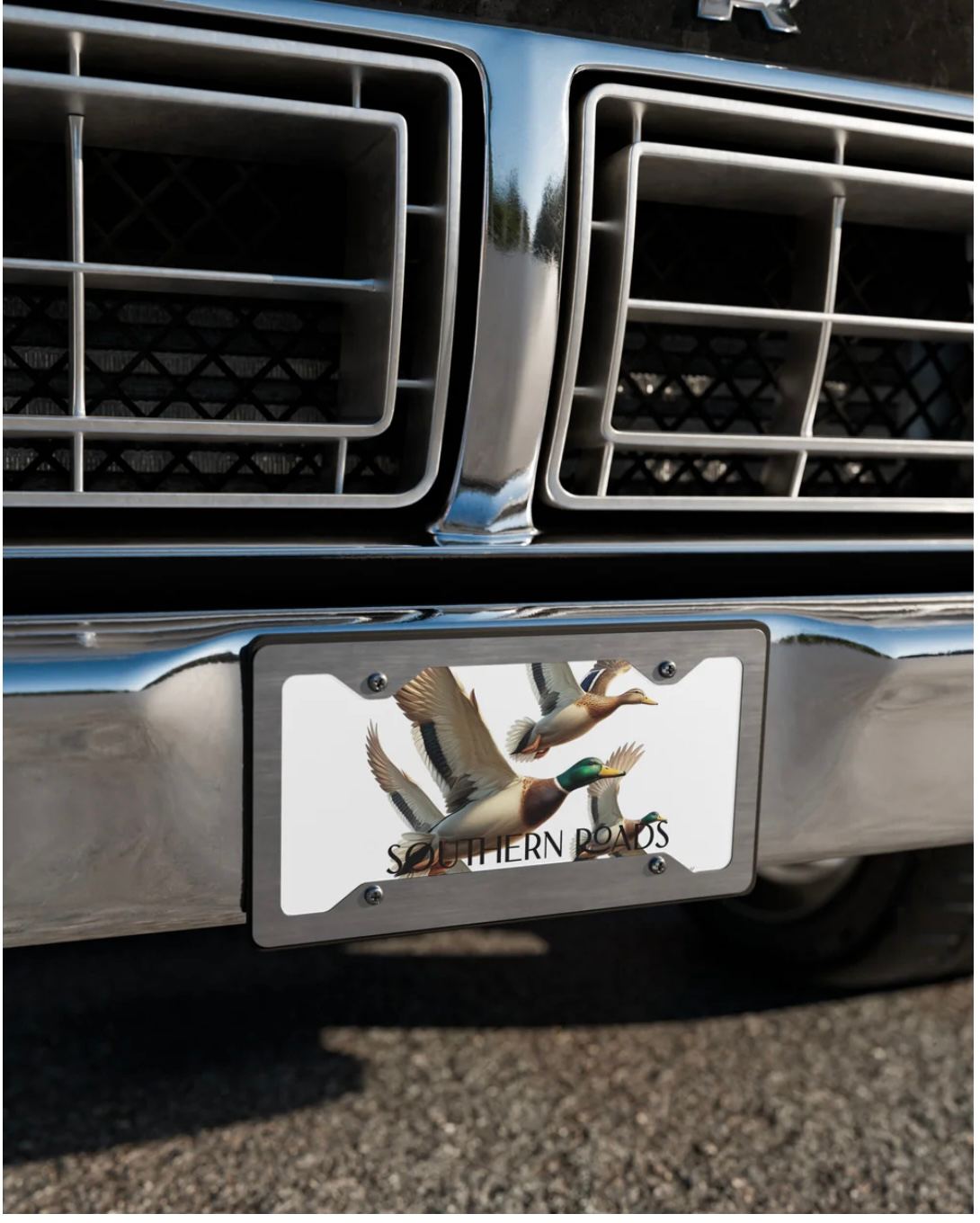 SOUTHERNROADS