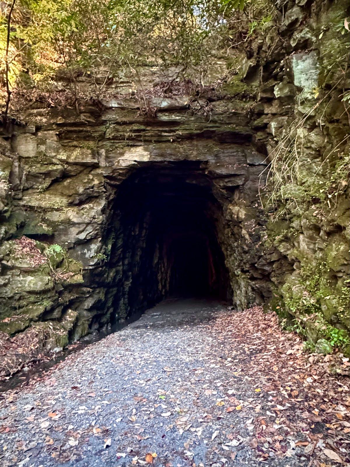 Stumphouse Tunnel