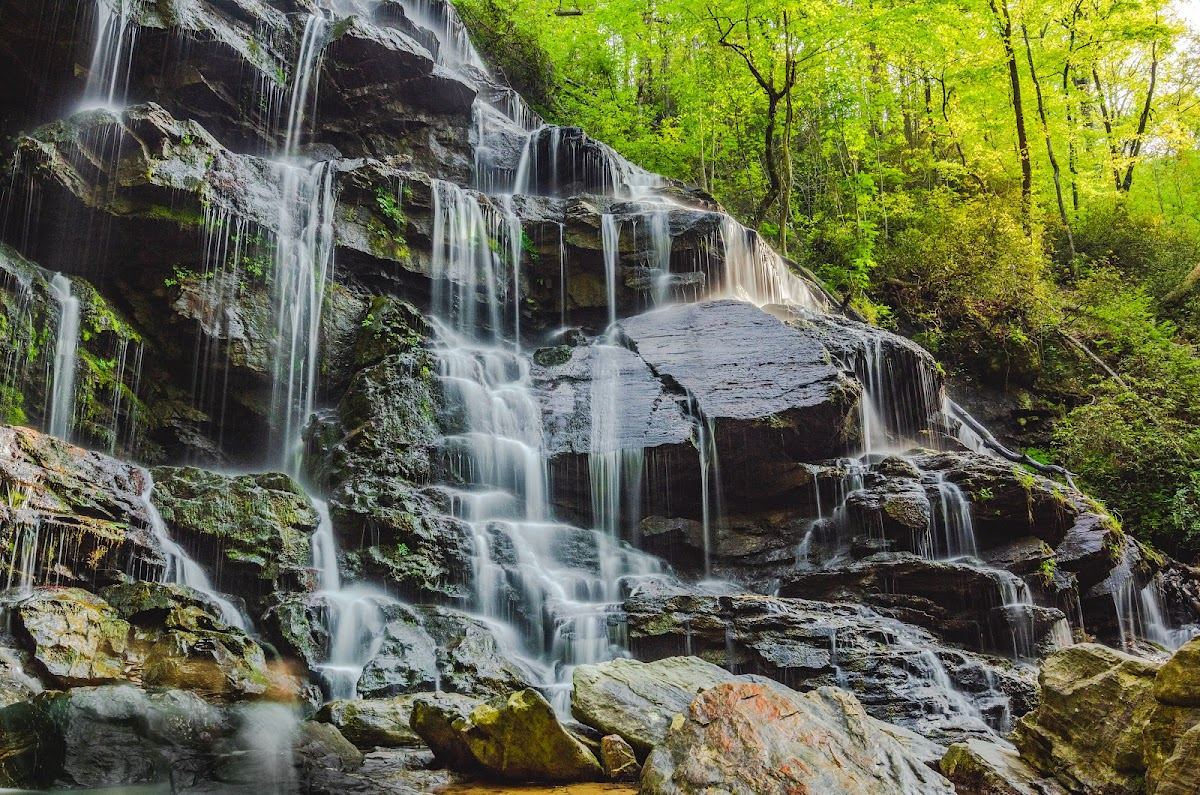 Yellow Branch Falls