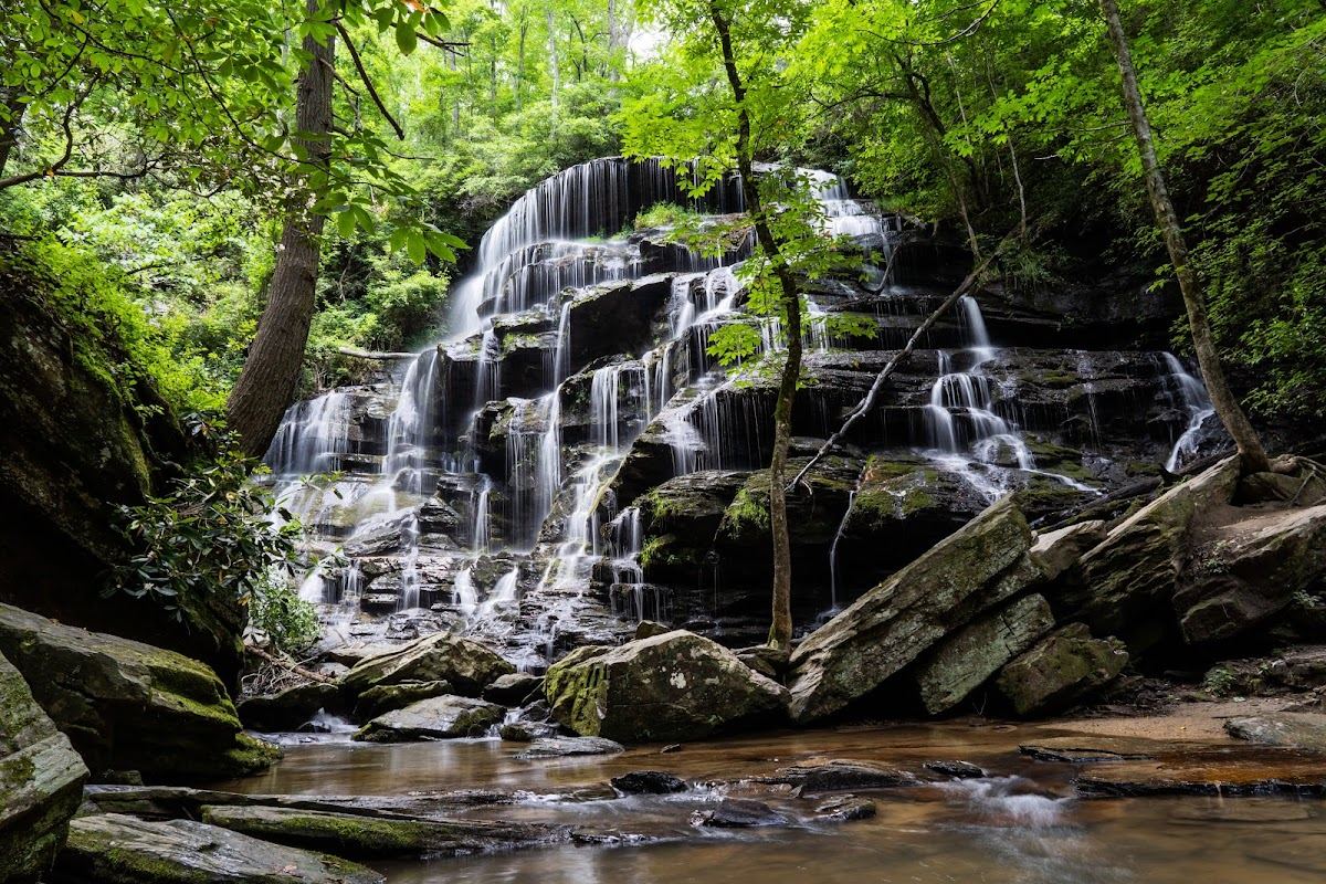 Yellow Branch Falls Trail