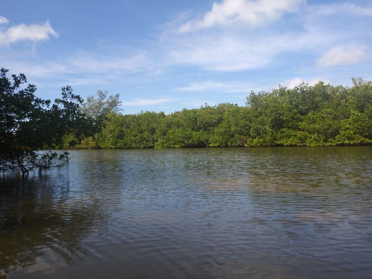 Jim Neville Marine Preserve