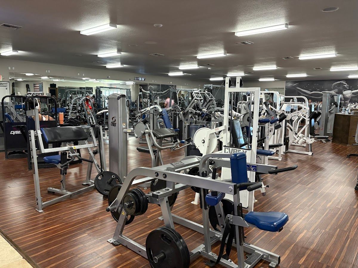 Muscle Asylum Port Charlotte