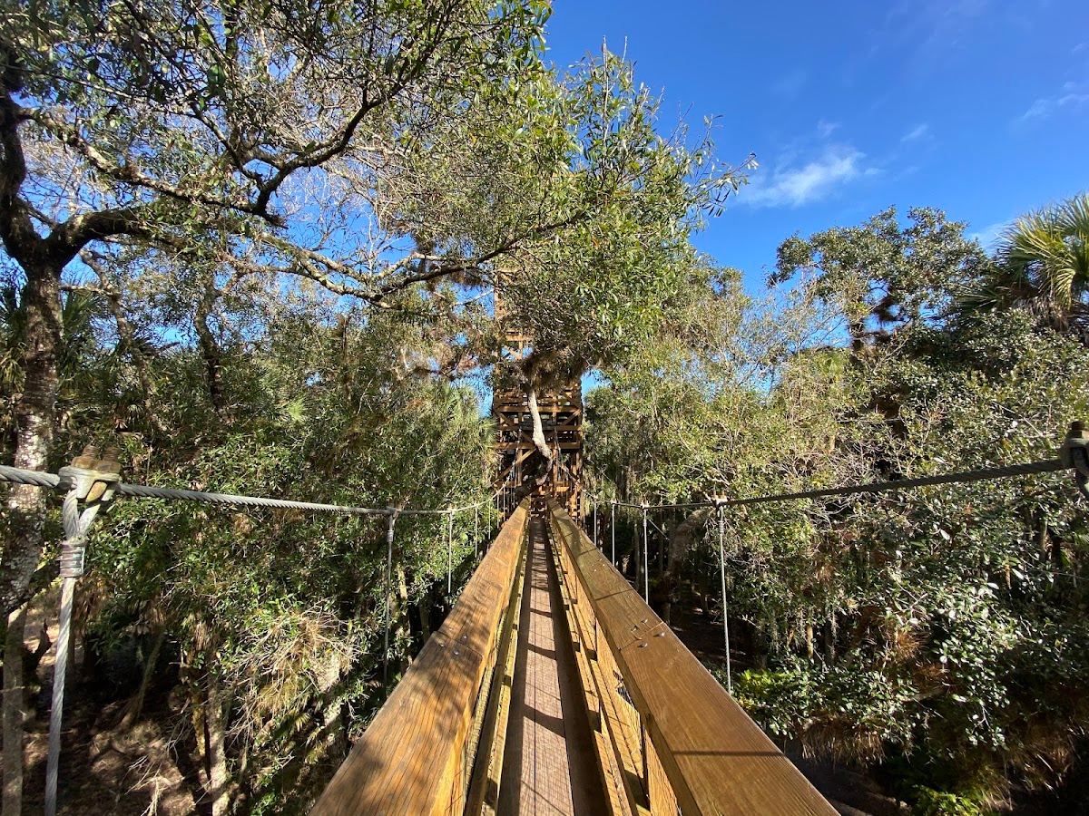 Myakka Canopy Walkway and Observation Tower
