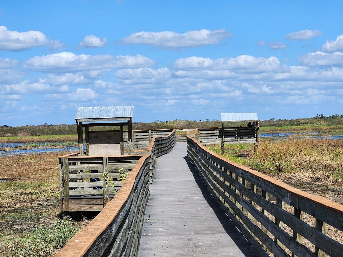 Myakka River State Park Birdwalk