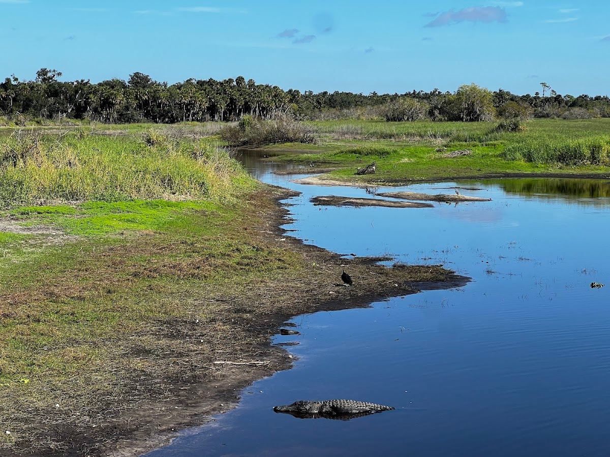 Myakka River State Park Visitor Center