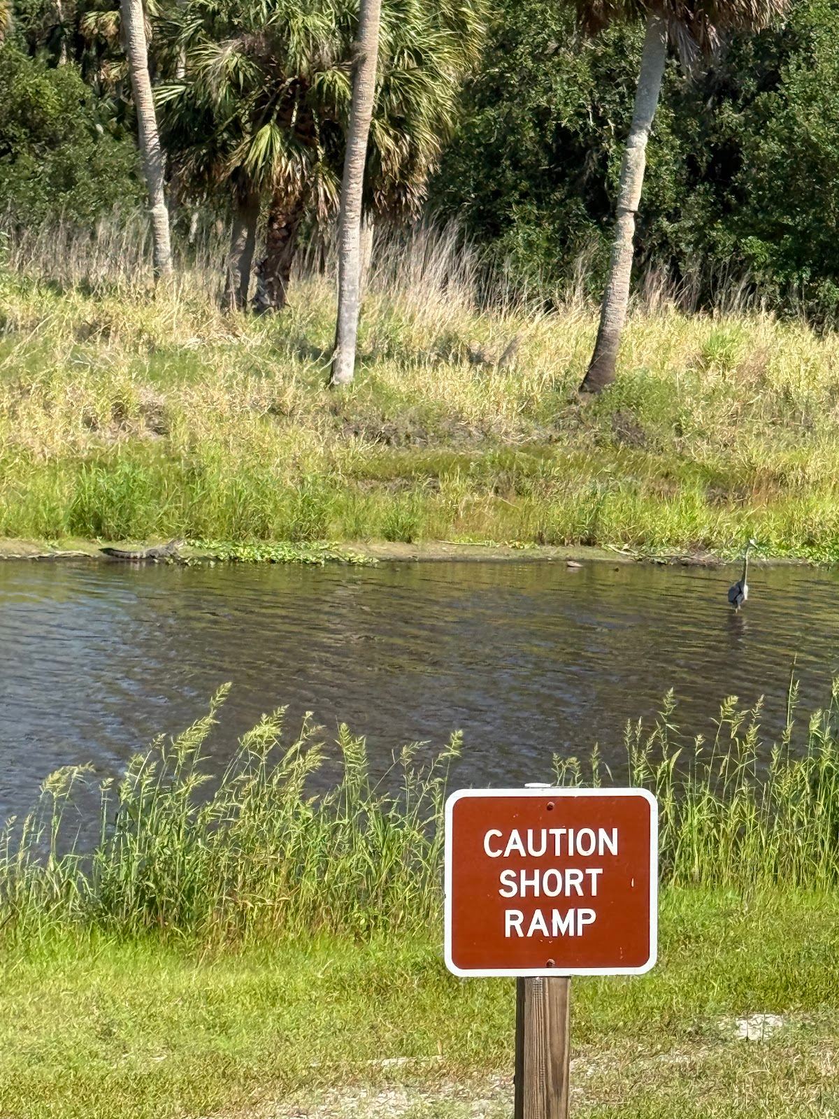 Myakka Wildlife Tours