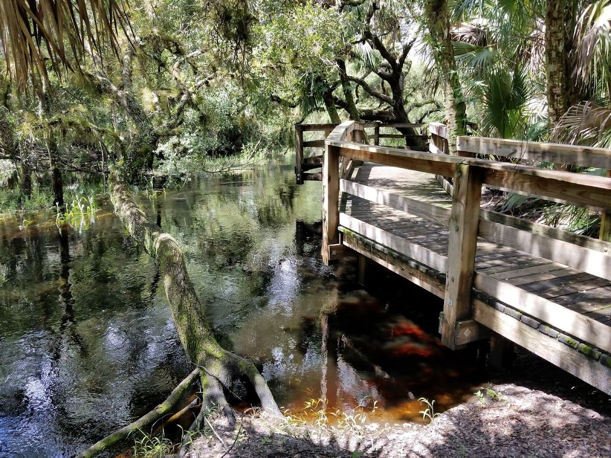 Myakkahatchee Creek Environmental Park