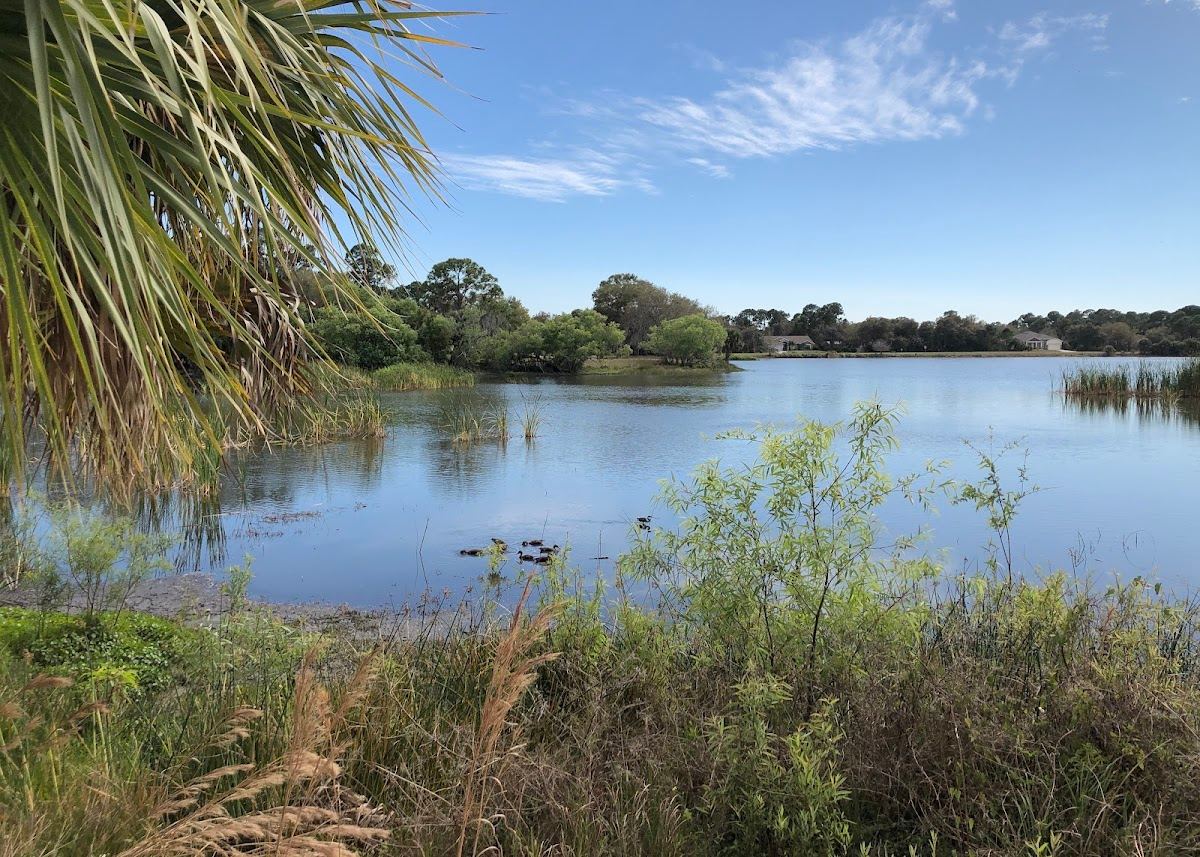 Ollie's Pond Park