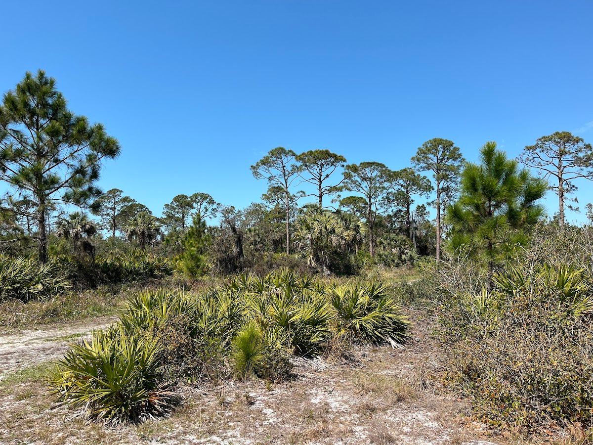 South Venice Lemon Bay Preserve